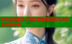 哔咔漫画此本子暂停更新原因及未来恢复时间详解