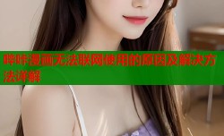 哔咔漫画无法联网使用的原因及解决方法详解