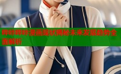 哔咔哔咔漫画现状揭秘未来发展趋势全面解析