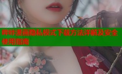 哔咔漫画隐私模式下载方法详解及安全使用指南