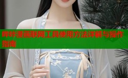 哔咔漫画联网工具使用方法详解与操作指南