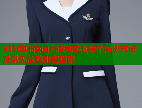 iOS哔咔漫画无法连接网络的解决方法及常见故障排查指南  第1张