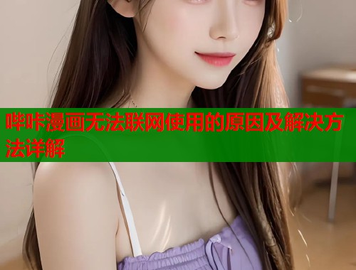 哔咔漫画无法联网使用的原因及解决方法详解  第1张