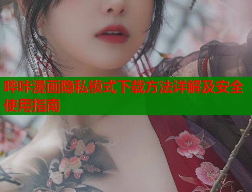 哔咔漫画隐私模式下载方法详解及安全使用指南  第1张